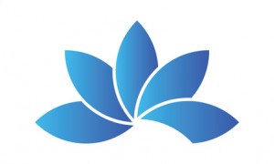 Fleur Lotus bleu